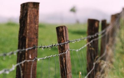 No room for fence sitters in modern rural advocacy