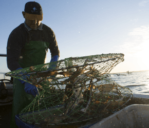 National Seafood Peak Body Project Begins!